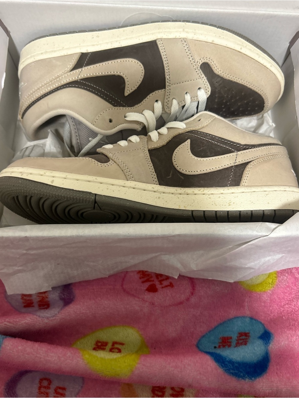 Jordan Low Top Sneakers in Beige and Brown